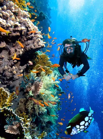 Tauchen Aktivitäten Tauchen Aktivitäten