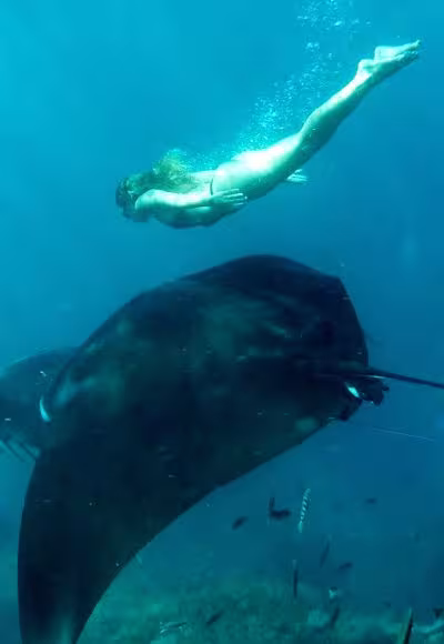 Tauchen Aktivitäten Tauchen Aktivitäten